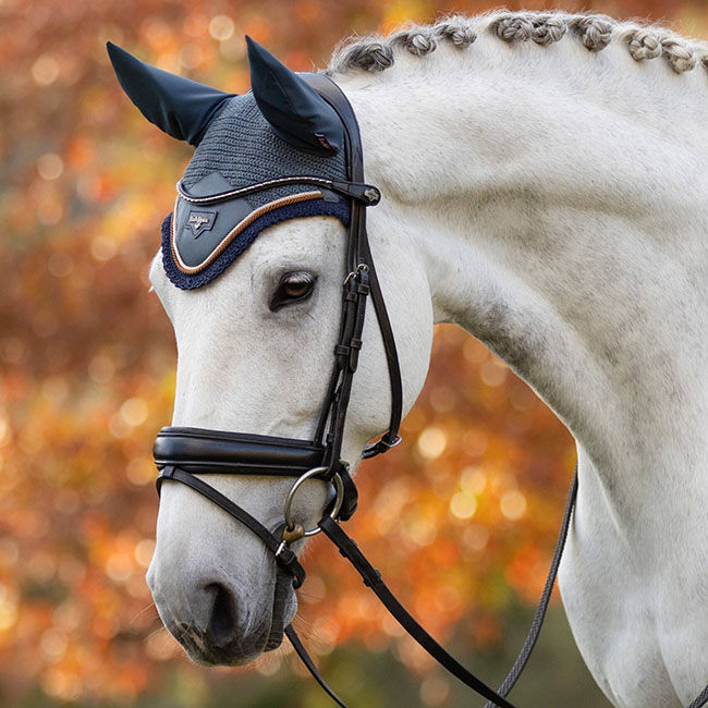 LeMieux Loire Ear Net - Petrol image number null