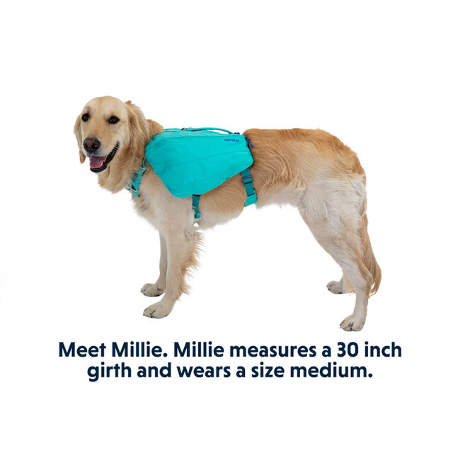 Ruffwear Front Range Day Pack - Closeout image number null