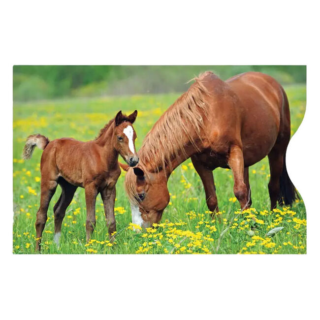 Monarque Credit Card Sleeves - Set of 6 - Horses image number null