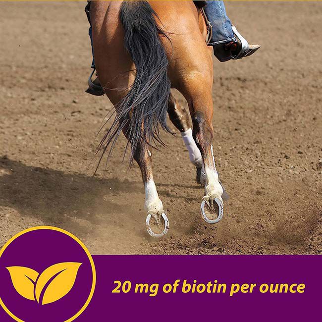 Horse Health Products Shur Hoof Supplement image number null