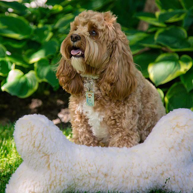 HuggleHounds 2' Plush Bone Dog Toy image number null