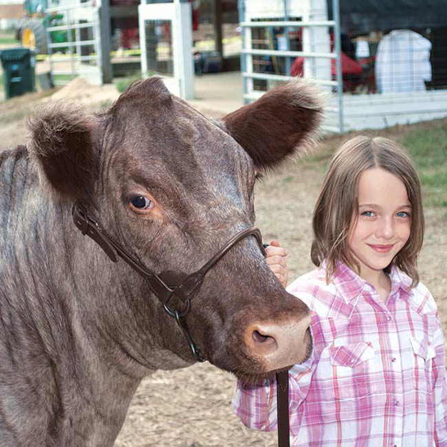 Weaver Livestock Brown Bombshell Show Halter image number null