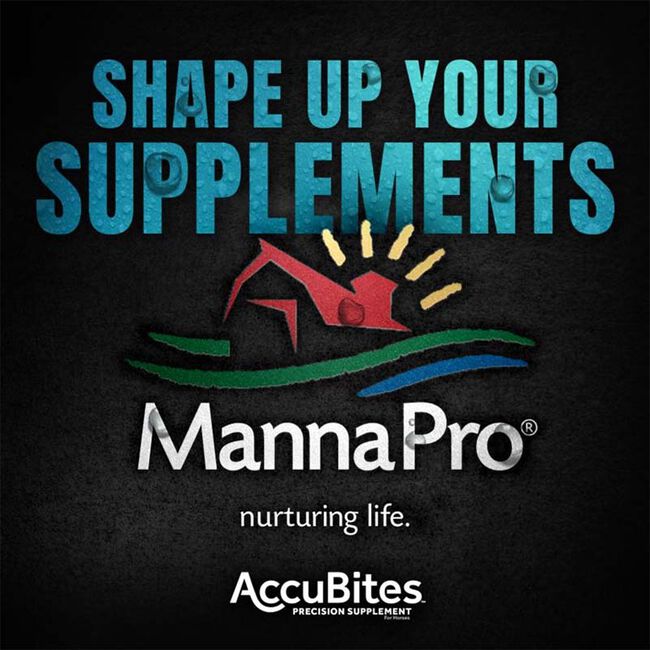 Manna Pro AccuBites Replenish - Advanced Electrolyte Support image number null