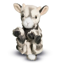 Douglas Lil' Handful Goat