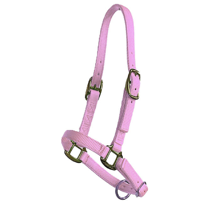 Triple E Adjustable Nylon Foal Halter image number null