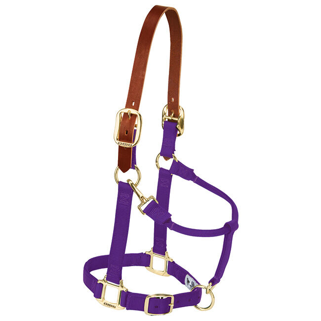 Weaver Equine Breakaway Nylon Halter image number null