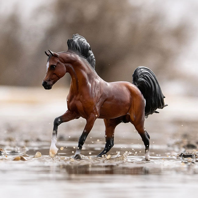 Breyer Mahogany Bay Arabian image number null