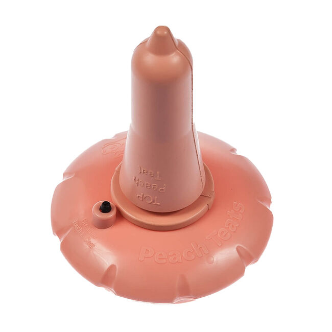 JDJ Solutions Peach Teat Handheld Bottle image number null