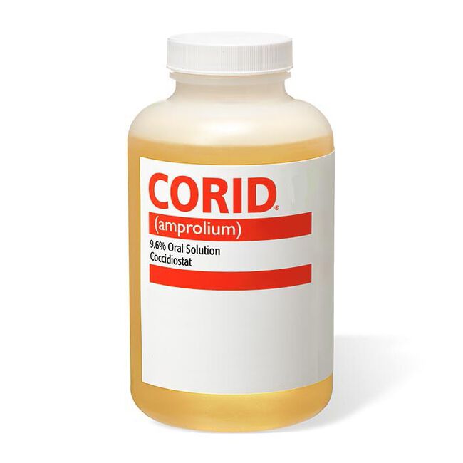 Merial Corid Solution - Treats Coccidiosis in Calves Gallon image number null