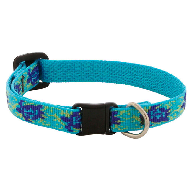 Lupine Pet Original Designs Safety Cat Collar image number null