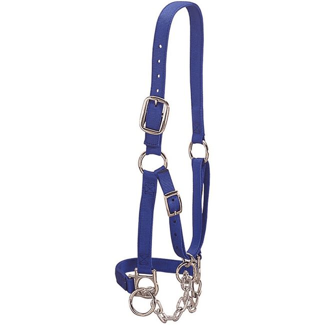 Weaver Heavy-Duty Restraint Halter for Cattle -Blue image number null