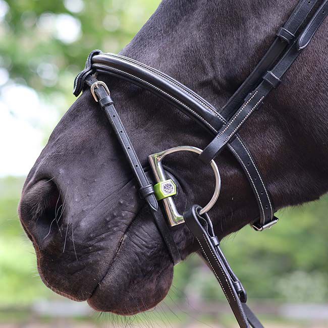 MetaLab Flexi Soft Mullen Mouth Dee Bit image number null