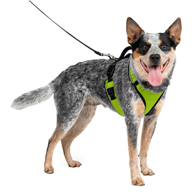 PetSafe EasySport Harness - Apple Green image number null