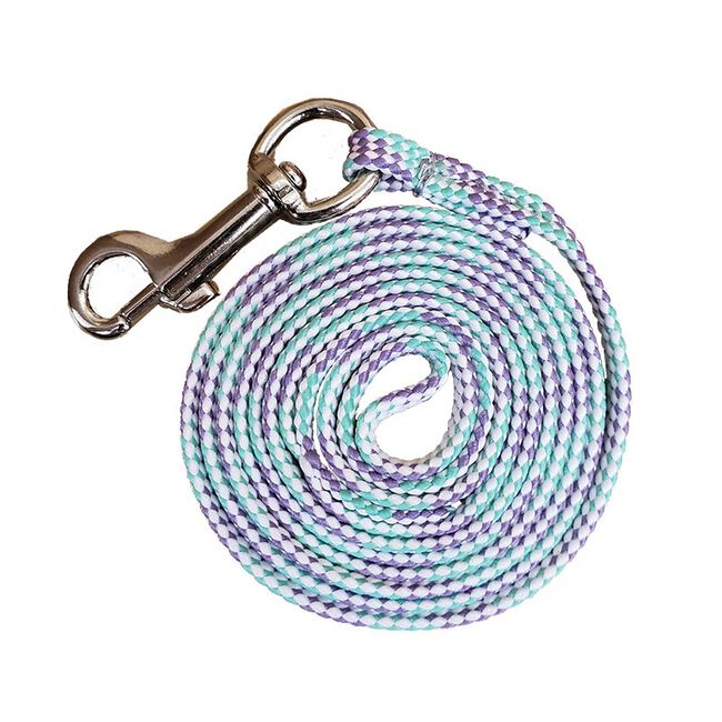 Triple E 4' Small Braided Dog/Cat Leash - Mint/Lilac/White image number null