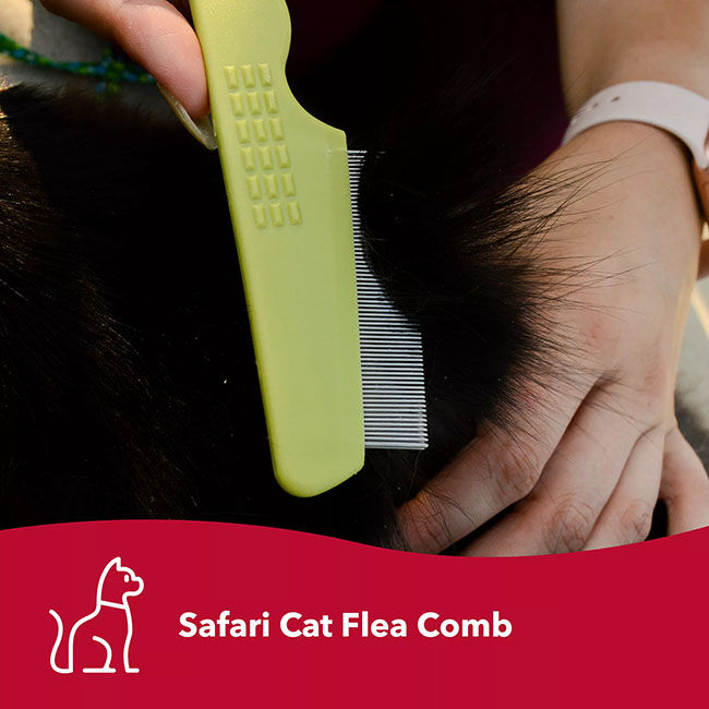 Safari Cat Flea Comb image number null