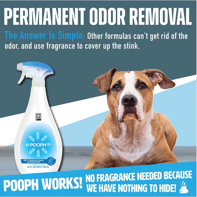 POOPH Cat & Dog Odor & Stain Eliminator - 20 oz image number null