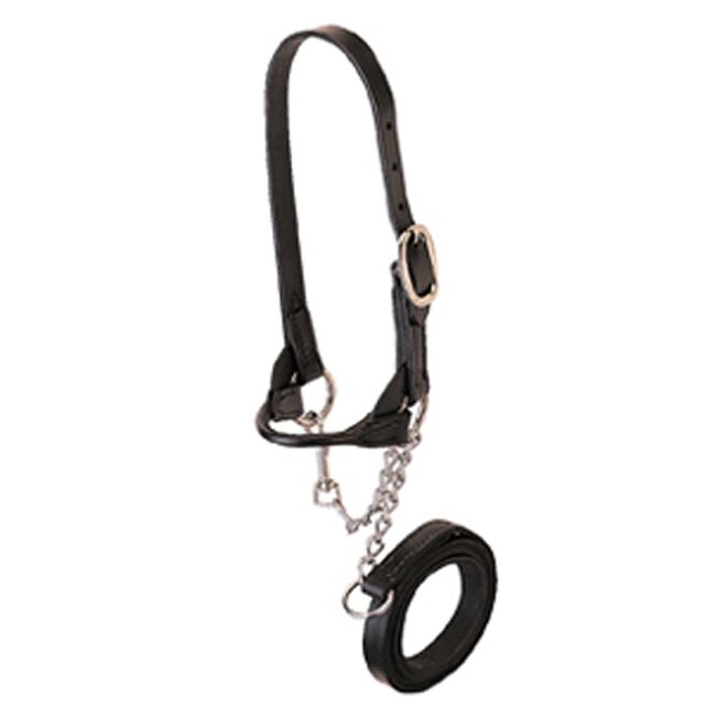 Weaver Club Calf Show Halter Black image number null