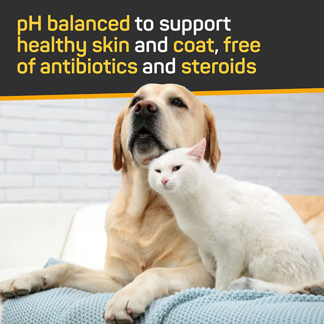 Absorbine Silver Honey Skin & Coat Care - Nourish & Soothe Leave-In Conditioner - 16 oz image number null