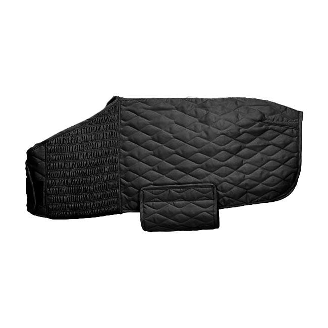 Paul Taylor Saddle Co Stretch Fit Foal Blanket image number null