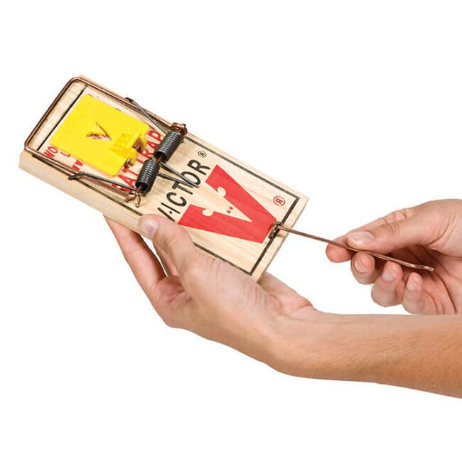 Victor Pest Snap Trap for Rats - Medium image number null