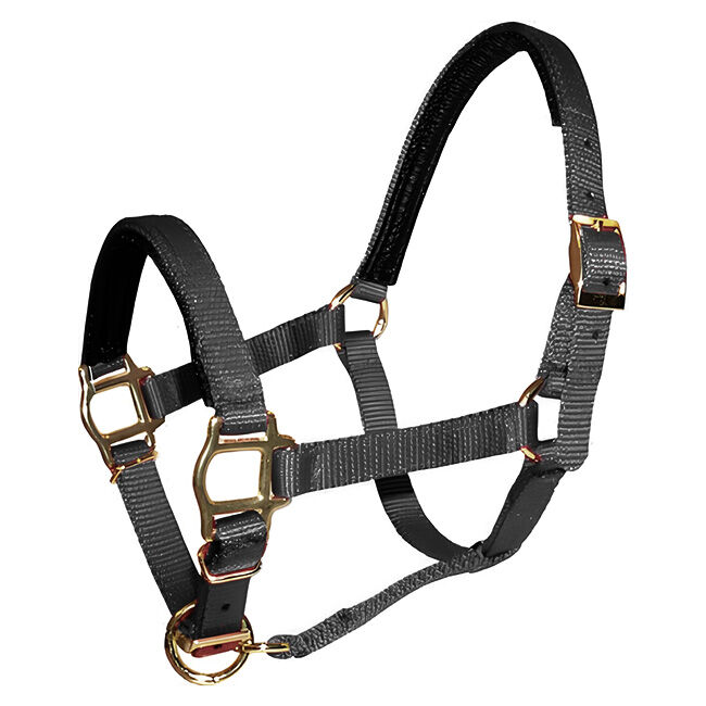 Triple E Mini Premium Nylon PVC Padded Halter image number null