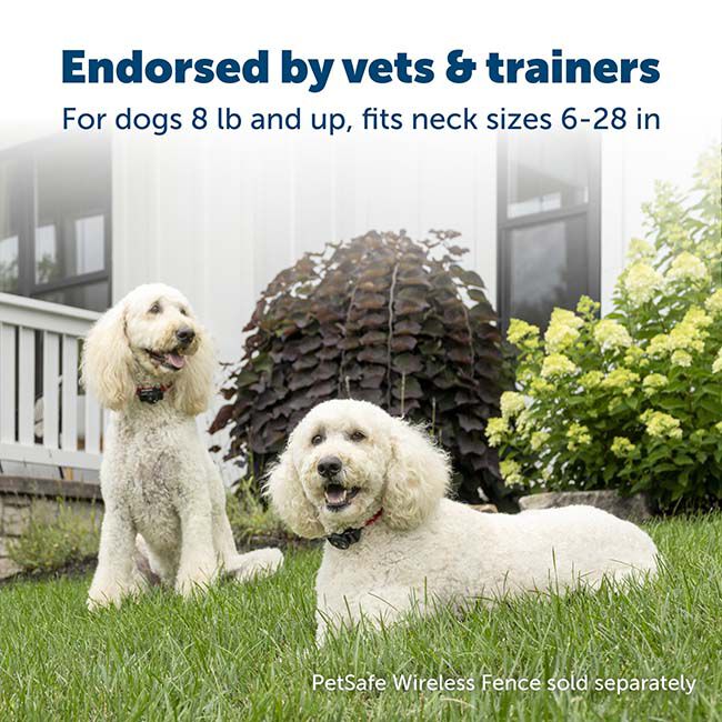 PetSafe Wireless Pet Containment System Receiver Collar image number null