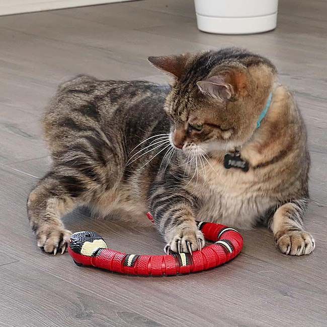Spot Wigglin' Snake Cat Toy image number null