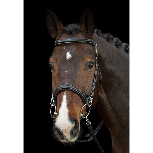 Schockemohle Sports SP Dortmund Bridle image number null