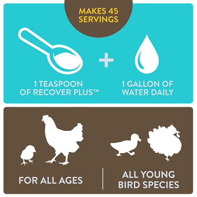 FlockLeader Recover Plus for Chickens image number null