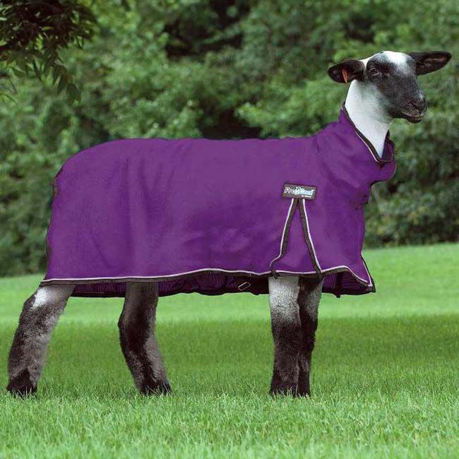 Weaver Livestock ProCool Mesh Sheep Blanket image number null
