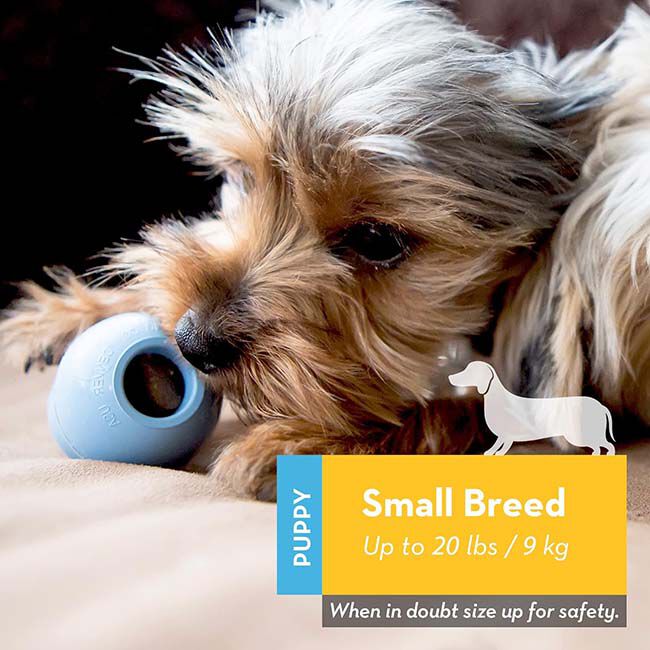 Kong Puppy Dog Toy image number null