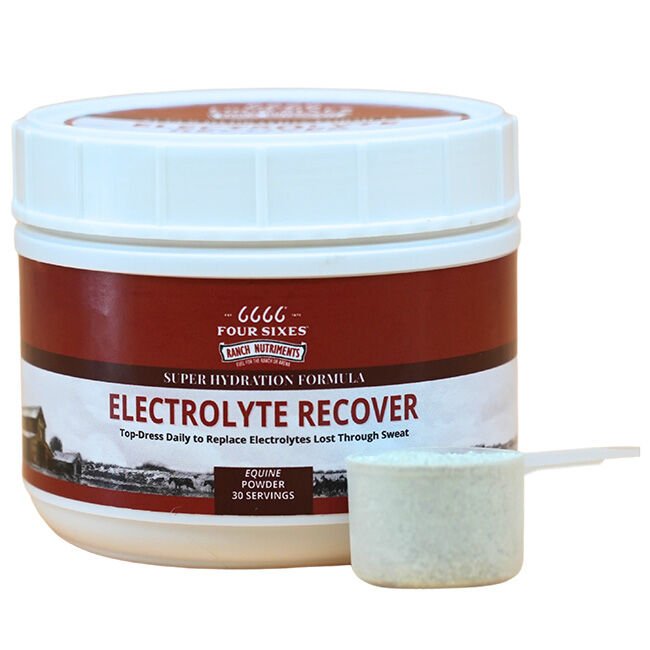 6666 Equine Supplements Equine Electrolyte Recover Powder - 2.6 lb image number null
