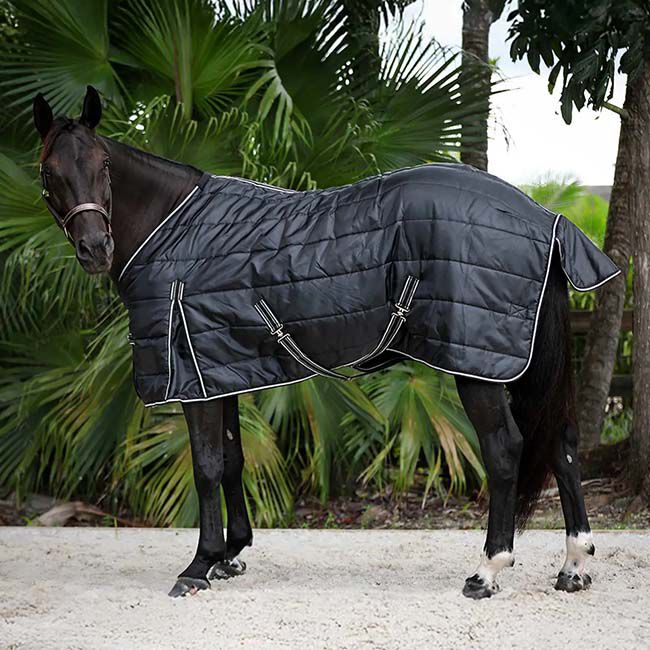 Equinavia Norse Gusseted Stable Blanket (200g) - Black image number null