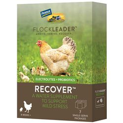 FlockLeader Recover, Electrolytes + Probiotics, Mild Stress Supplement for Chicken Flock