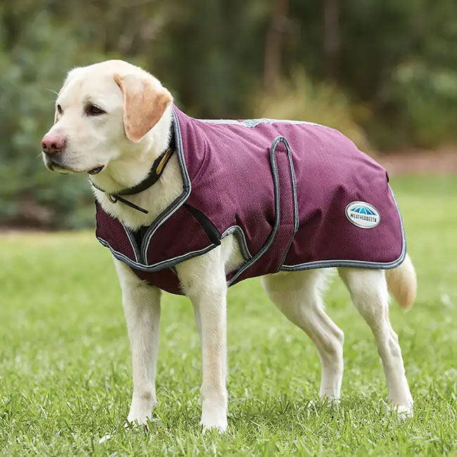 WeatherBeeta ComFiTec Premier Free Parka Deluxe Dog Coat Maroon Gray White