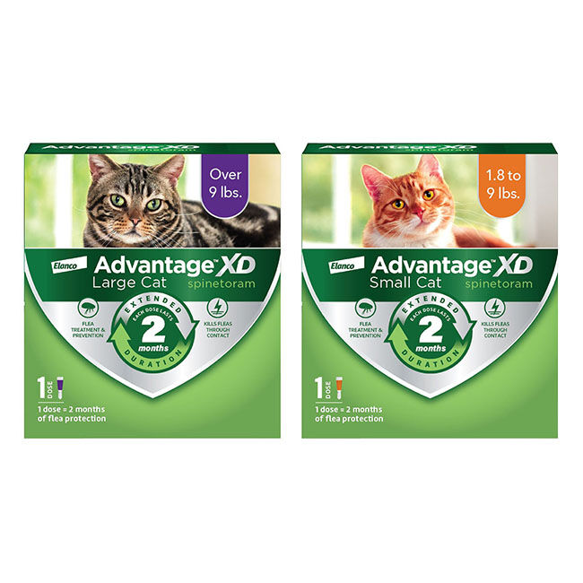 Elanco Advantage XD for Cats image number null