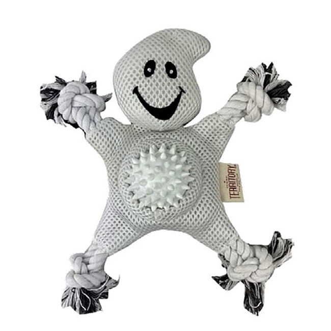 Territory 2-in-1 Dog Toy - Ghost image number null