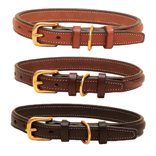 Tory Leather Narrow Raised Dog Collar  image number null