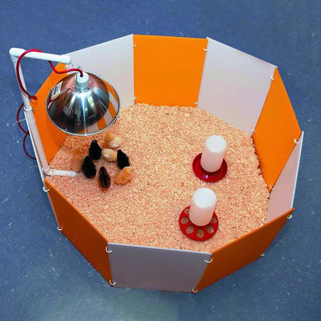 Farm Innovators Baby Chick Starter Home image number null