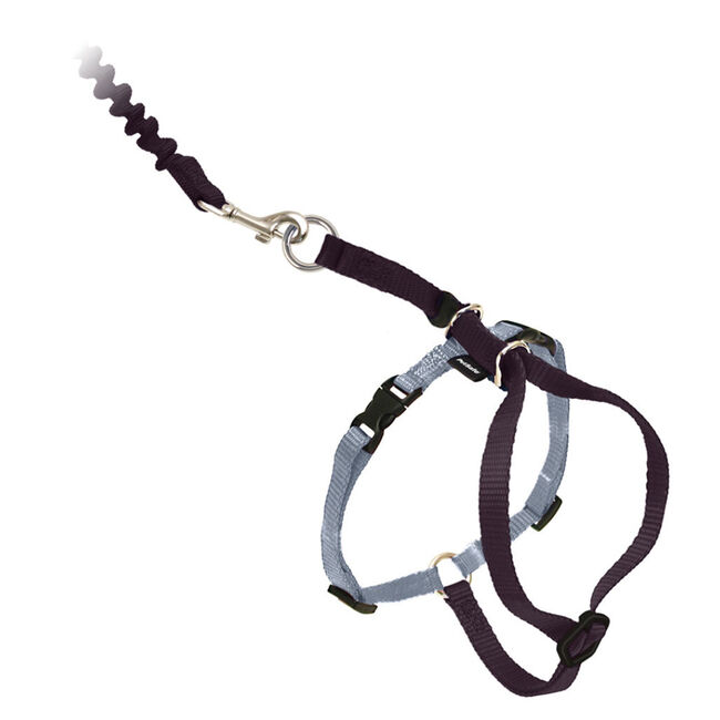 PetSafe Come With Me Kitty Harness & Bungee Leash Blue image number null