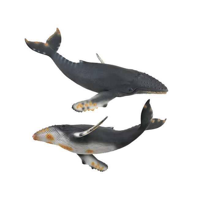 CollectA by Breyer Humpback Whale image number null