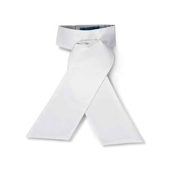 RJ Classics Camden Pre-Tied Stock Tie