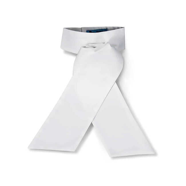 RJ Classics Camden Pre-Tied Stock Tie image number null