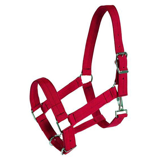 Triple E 1-1/2" Adjustable Poly Web Draft Halter image number null