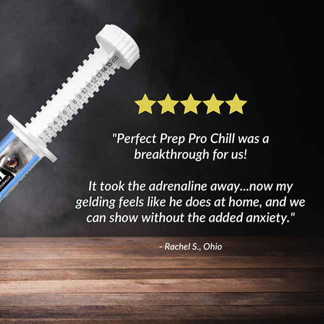 Perfect Products Perfect Prep EQ Pro Chill Concentrated Calming Paste - 15 cc Syringe image number null