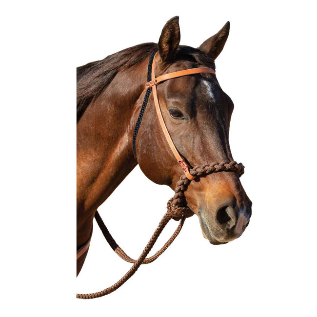 Professional's Choice Loping Hackamore image number null