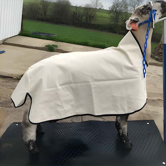 Mid-States Wool Growers American-Made Sheep Blanket The Cheshire