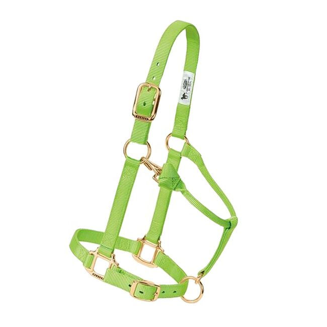 Weaver Adjustable Nylon Halter - Lime image number null