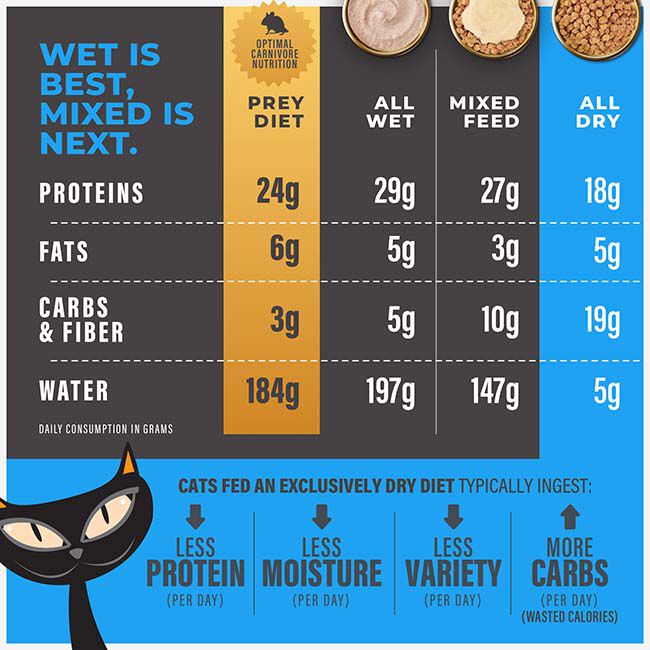 Tiki Cat Solutions Kibble Cat Food - Mineral Solutions Recipe with Chicken image number null