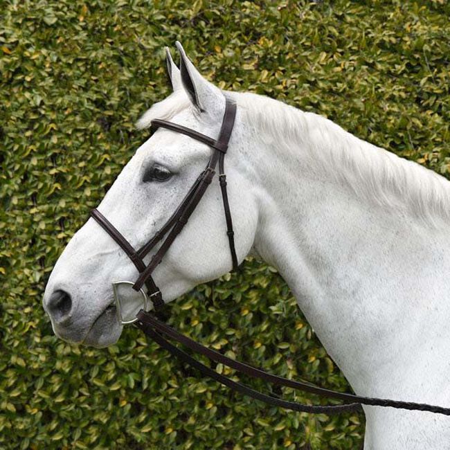Bobby's English Tack Silver Spur Raised Snaffle Bridle image number null